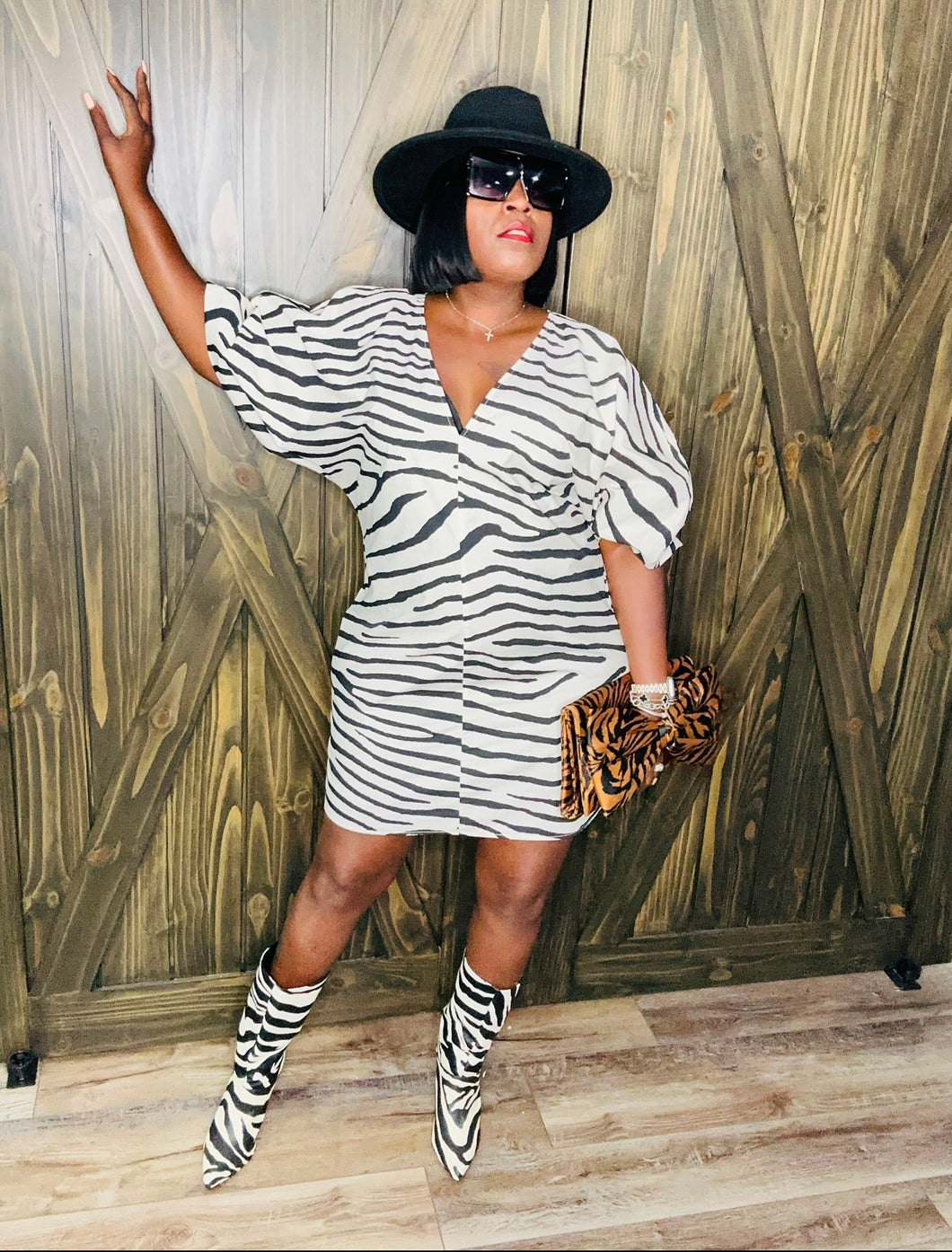 (12/14) HM Zebra Dress