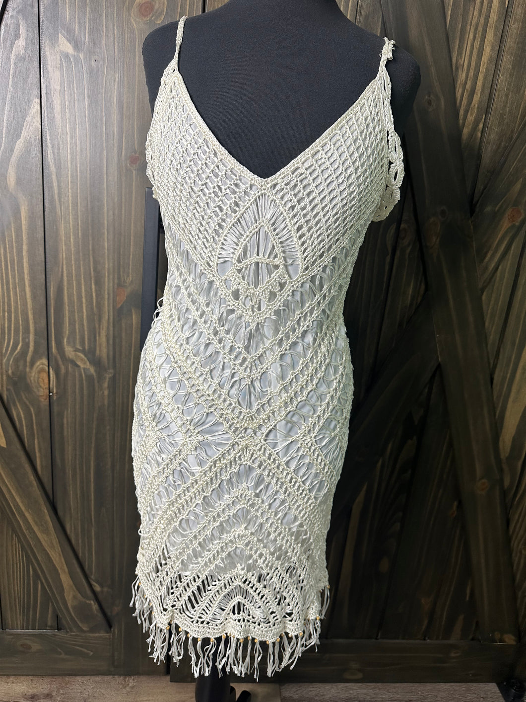 (1X) White Net NWT Ash Stew Dress